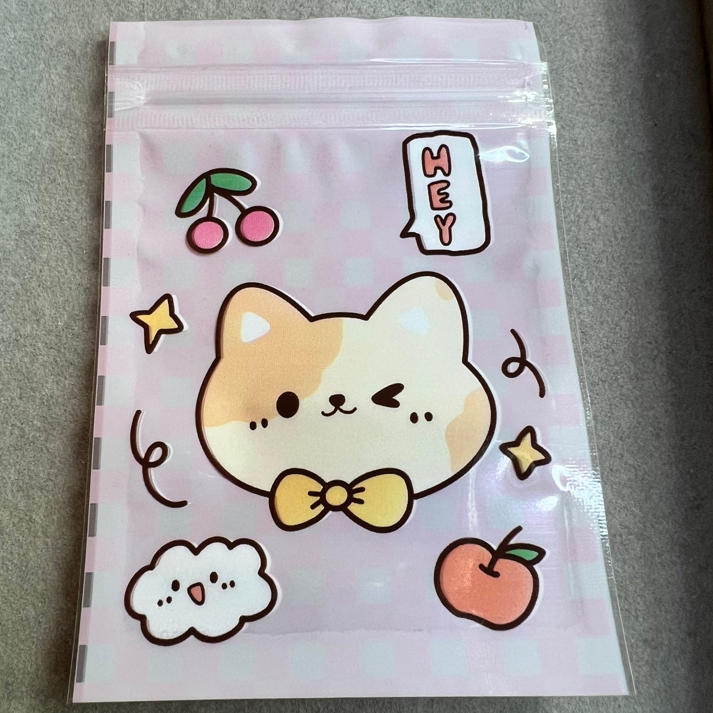 [CTB234] Plastic Reseal Cat Bag (10 pieces)